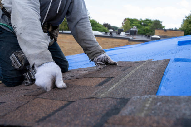 Best Flat Roof Repair Services  in Missouri Valley, IA